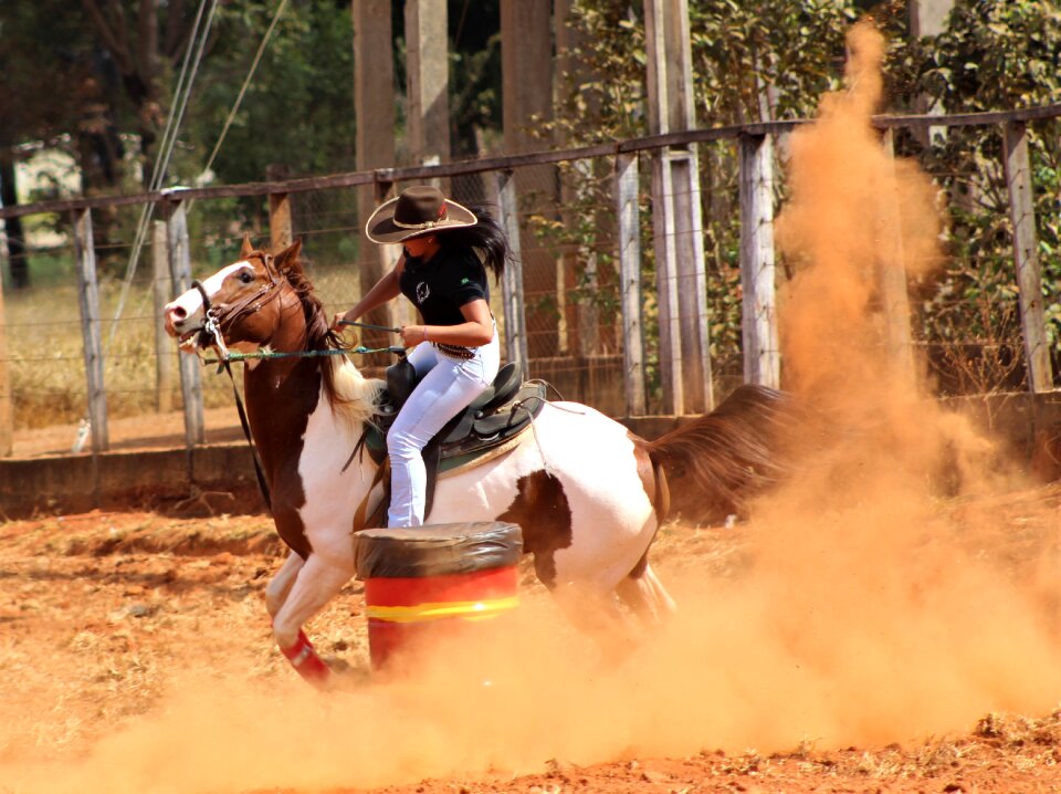 Animal coat equitation