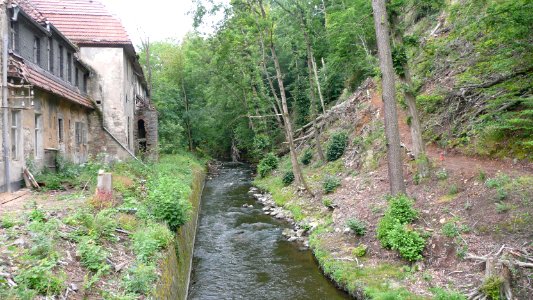 Seifersdorfer Tal 02