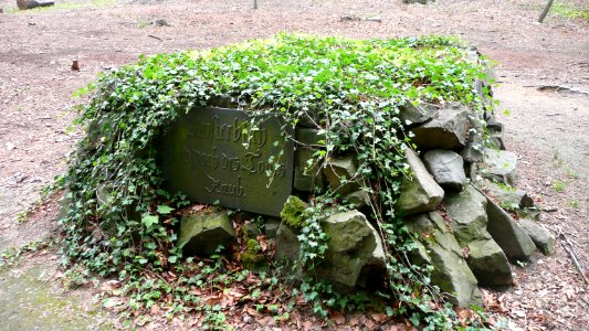 Seifersdorfer Tal 09