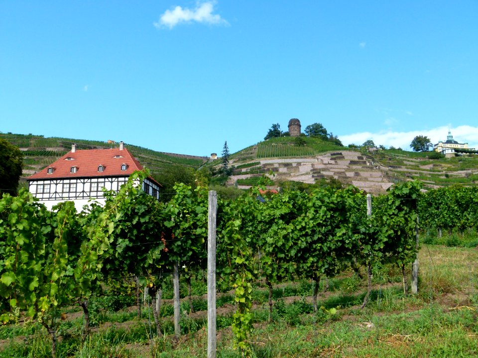 Berghaus Hoflößnitz Radebeul 2