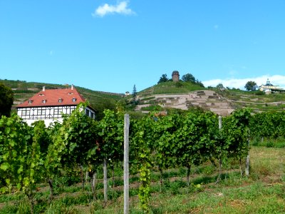 Berghaus Hoflößnitz Radebeul 2