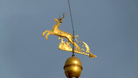 Bautzner Landstraße 6a Weisser Hirsch 7