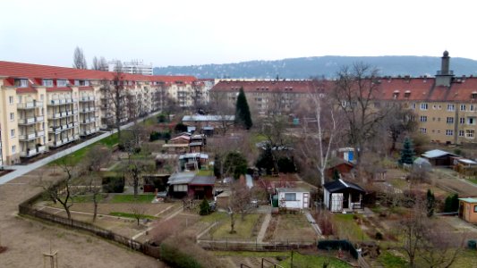Seidnitz Gärten