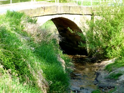 Brücke Struppenbach Niedervogelgesang Pirna 4