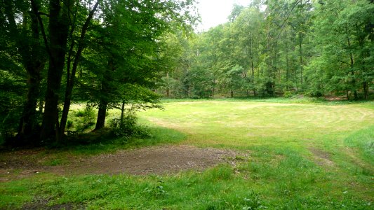 Seifersdorfer Tal 14