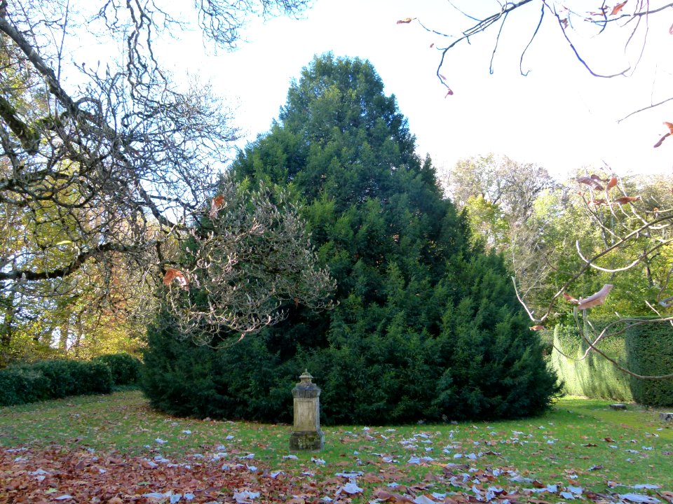 Château de Voltaire à Ferney 33
