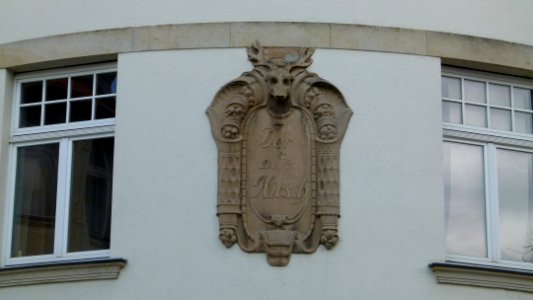 Collenbuschstraße 28 Weißer Hirsch 2