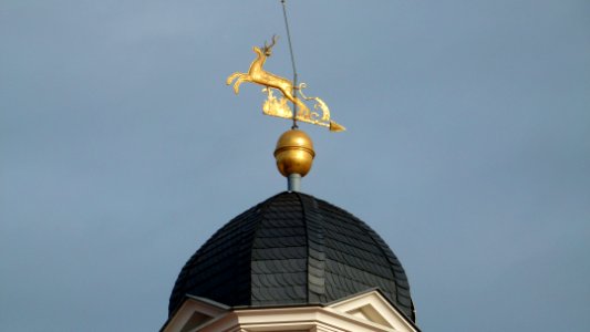 Bautzner Landstraße 6a Weisser Hirsch 8