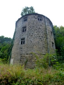 Burgruine Wehlen 5