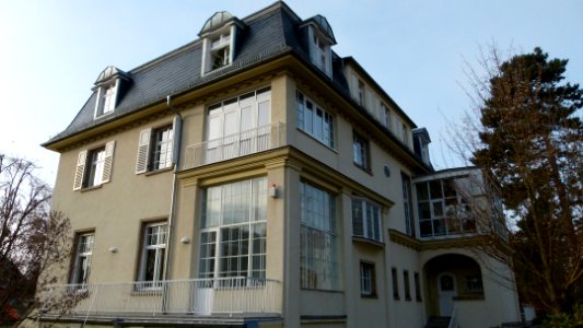 Collenbuschstraße 11 Weißer Hirsch 1