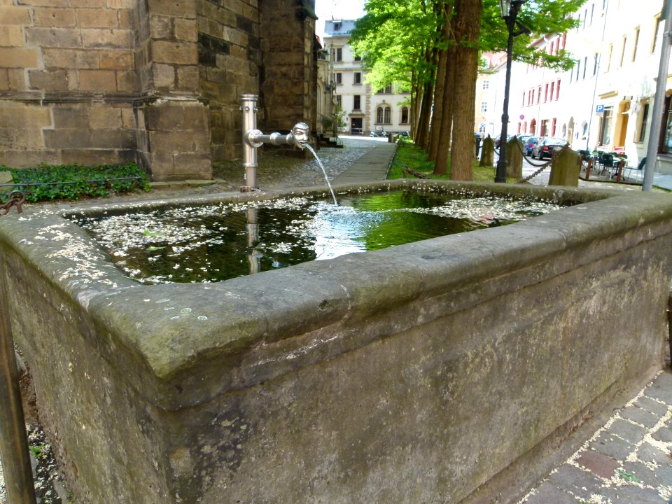 Brunnen Marienkirche Kirchplatz 14 Pirna 2
