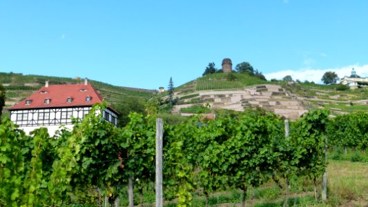 Berghaus Hoflößnitz Radebeul 3