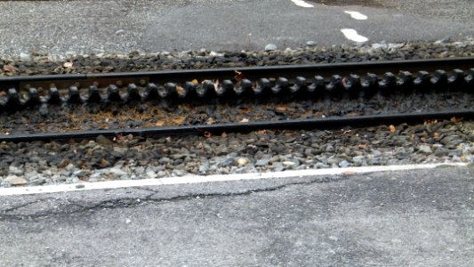 Chemin de fer du Montenvers Chamonix 2