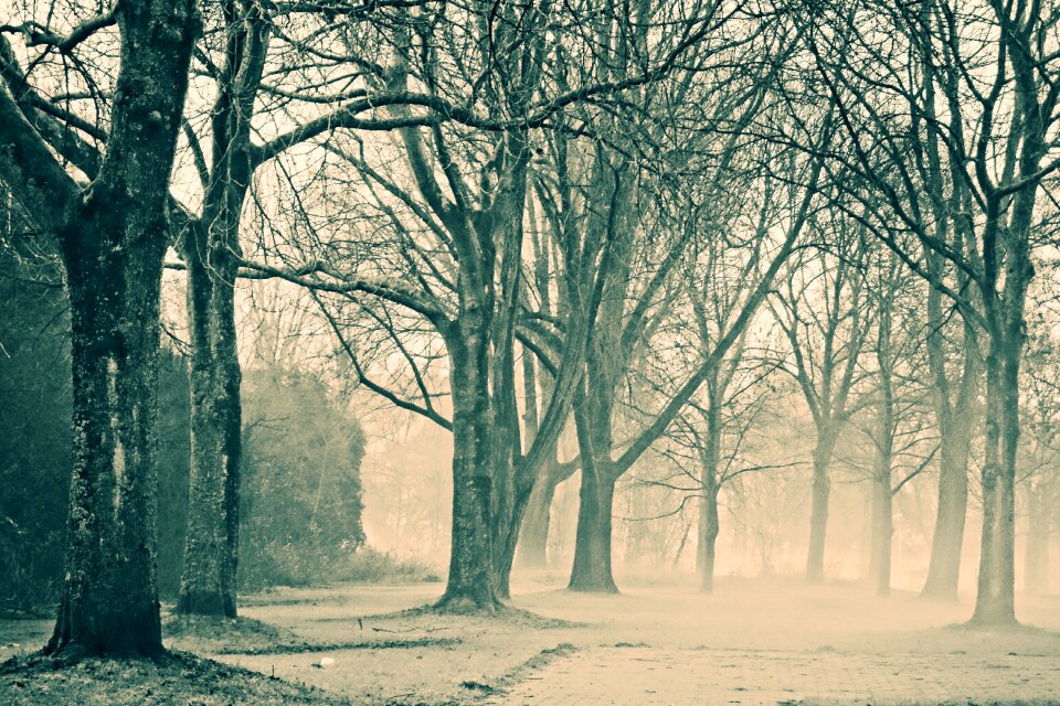 Fog misty golden glow