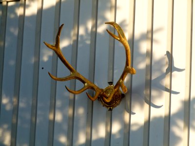 Bautzner Landstraße 55a Weißer Hirsch 2