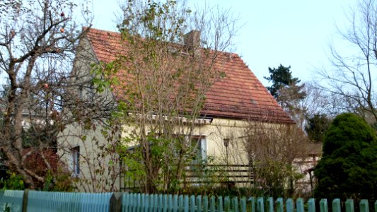 Collenbuschstraße 20 Weißer Hirsch 1
