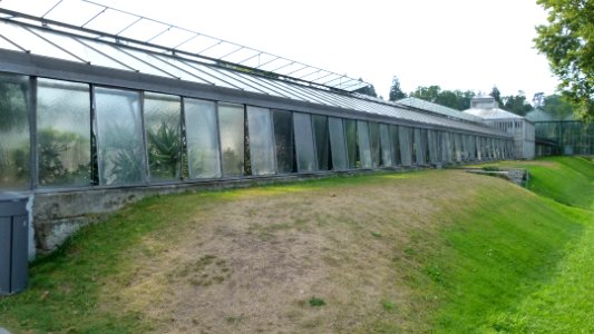 Bad Cannstatt Wilhelma 19