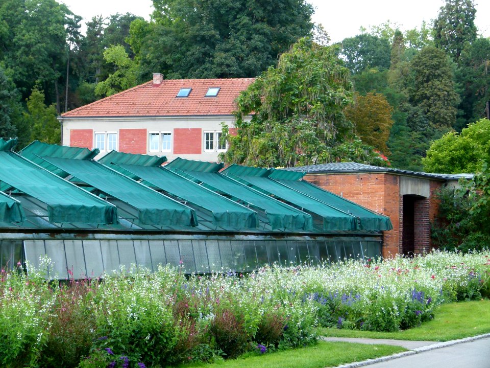 Bad Cannstatt Wilhelma 65