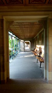 Bad Cannstatt Wilhelma 50