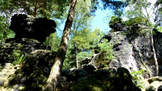 Kleinhennersdorfer Stein 5