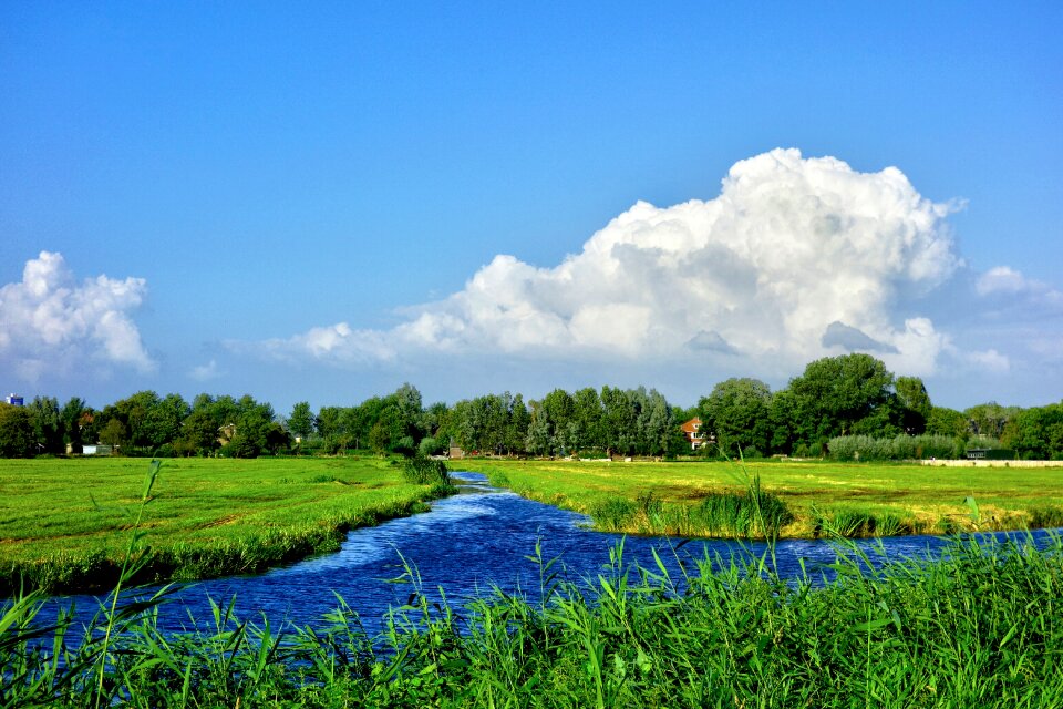 Field polder skyline photo