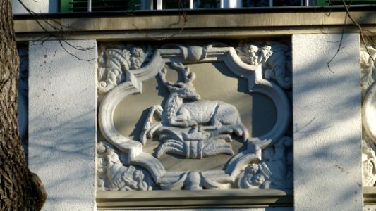 Böhmertstraße 6 Loschwitz 4