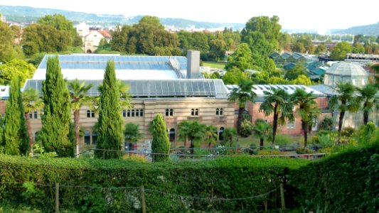 Bad Cannstatt Wilhelma 14