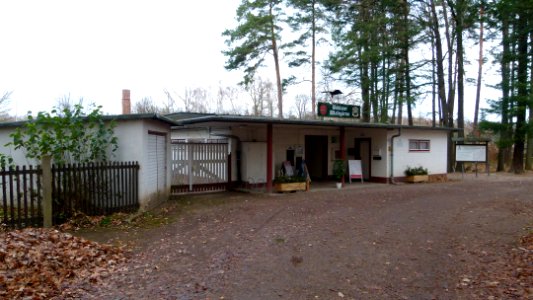 Bühlauer Waldgärten Nachtflügelweg 25 Weißer Hirsch 2