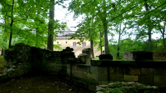 Kloster Altzella 51