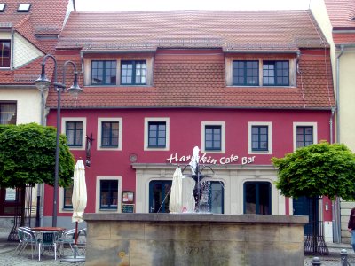 Julius-Kühn-Platz 4 Pulsnitz 1