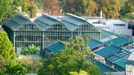Bad Cannstatt Wilhelma 26