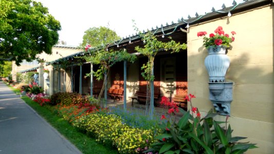 Bad Cannstatt Wilhelma 49