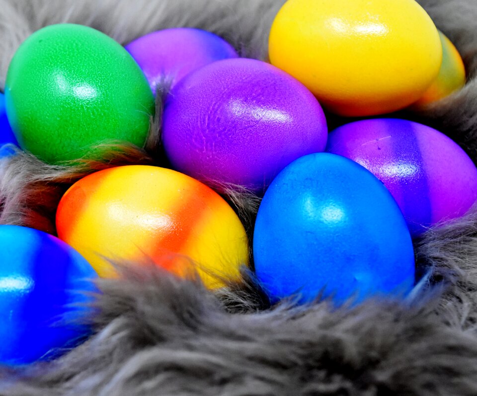 Happy easter egg colored