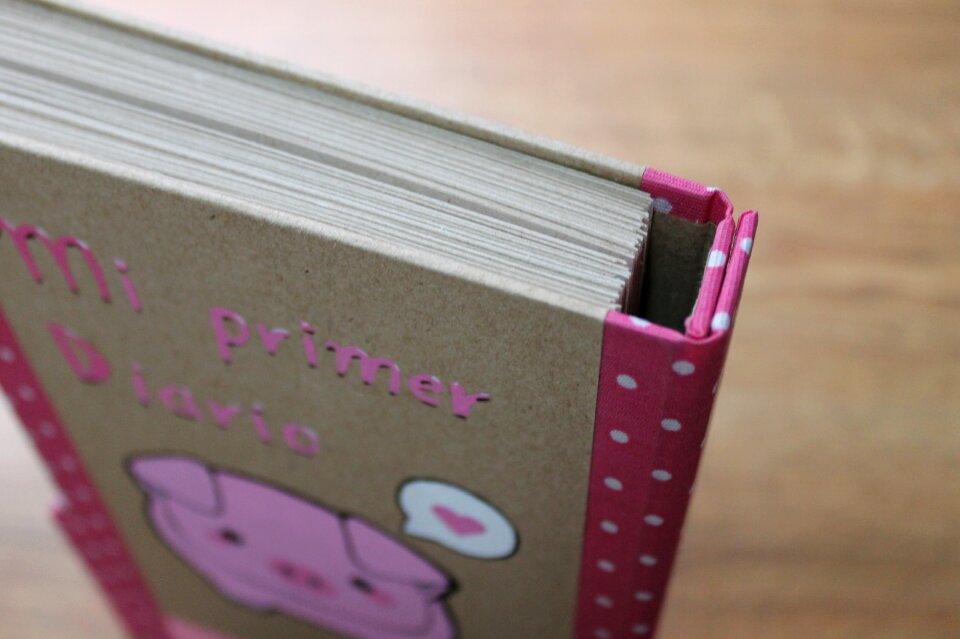 Address book daily to write