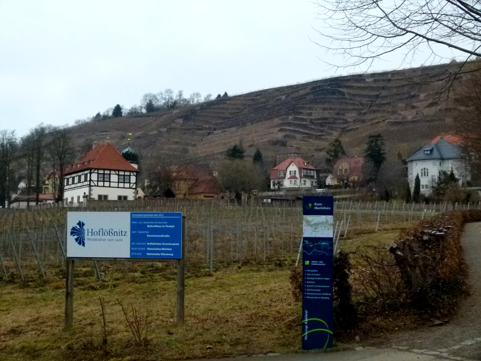 Hoflößnitz Radebeul 1