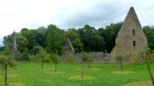 Kloster Altzella 111