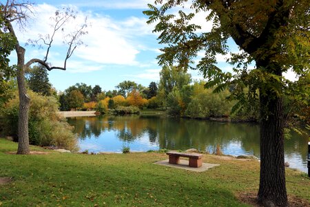 Weld county park trees