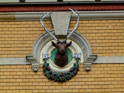 Kastanienallee 2 Graupa Pirna 3