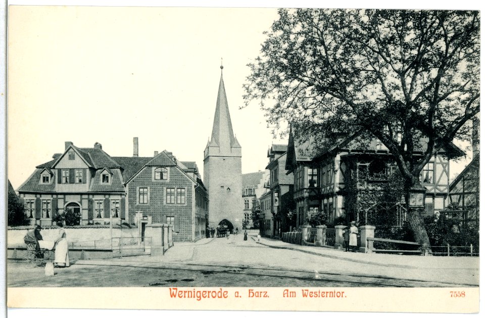07558-Wernigerode-1906-Am Westerntor-Brück & Sohn Kunstverlag