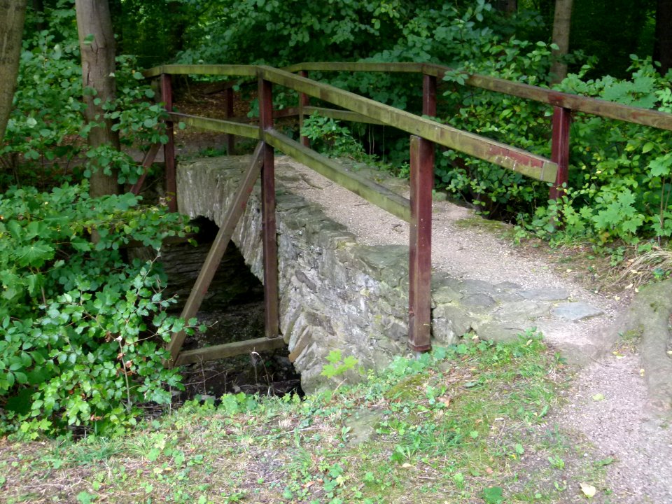 Kloster Altzella 100