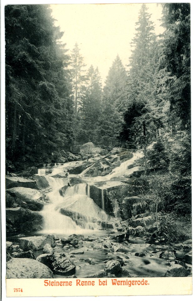 07574-Wernigerode-1906-Waldmotiv Steinerne Renne-Brück & Sohn Kunstverlag