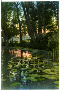 07151-Groitzsch-1906-An der Schwennigke-Brück & Sohn Kunstverlag