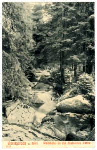 07572-Wernigerode-1906-Waldmotiv Steinerne Renne-Brück & Sohn Kunstverlag