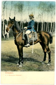 07207-Dresden-1906-Königlich Sächsisches Gardereiter-Regiment-Brück & Sohn Kunstverlag