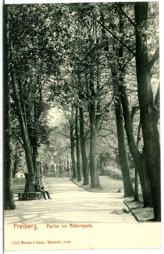 07352-Freiberg-1906-Albert Park-Brück & Sohn Kunstverlag