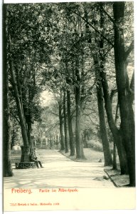 07352-Freiberg-1906-Albert Park-Brück & Sohn Kunstverlag