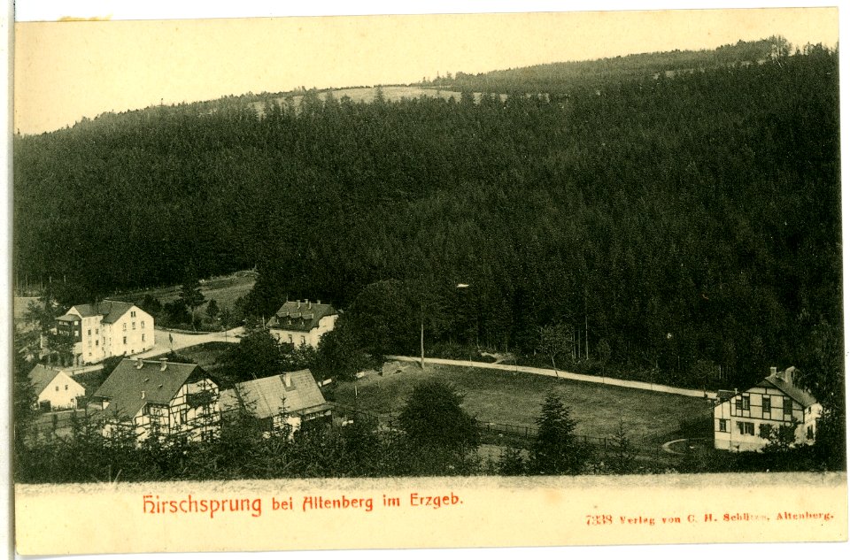 07338-Hirschsprung-1906-bei Altenberg-Brück & Sohn Kunstverlag