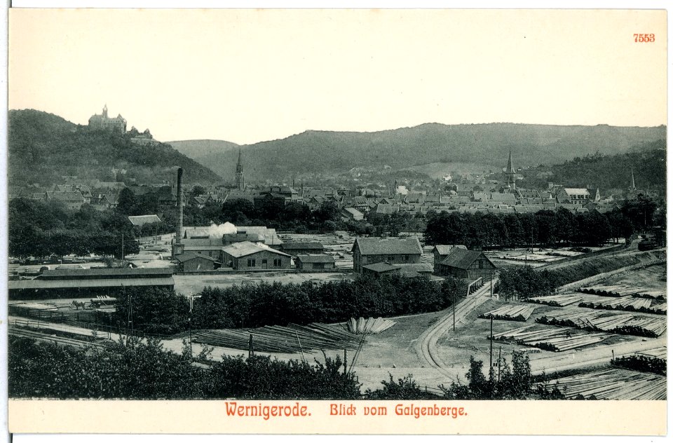 07553-Wernigerode-1906-Blick vom Galgenberge-Brück & Sohn Kunstverlag