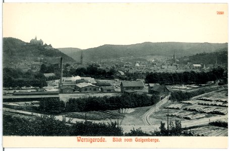 07553-Wernigerode-1906-Blick vom Galgenberge-Brück & Sohn Kunstverlag