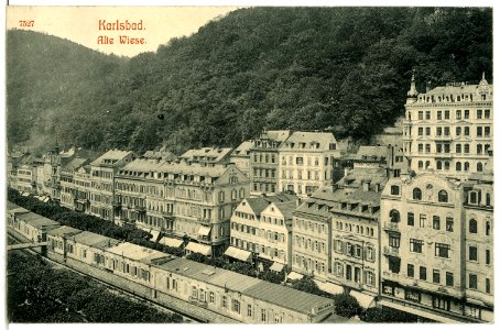 07527-Karlsbad-1906-Alte Wiese-Brück & Sohn Kunstverlag